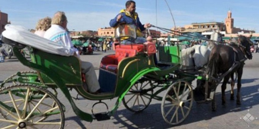 Le quai d’Orsay désavoué au Maroc